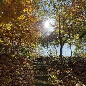 Meet your Posher, Mindy